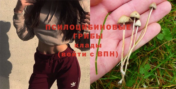 apvp Абдулино