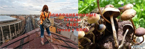 каннабис Абинск