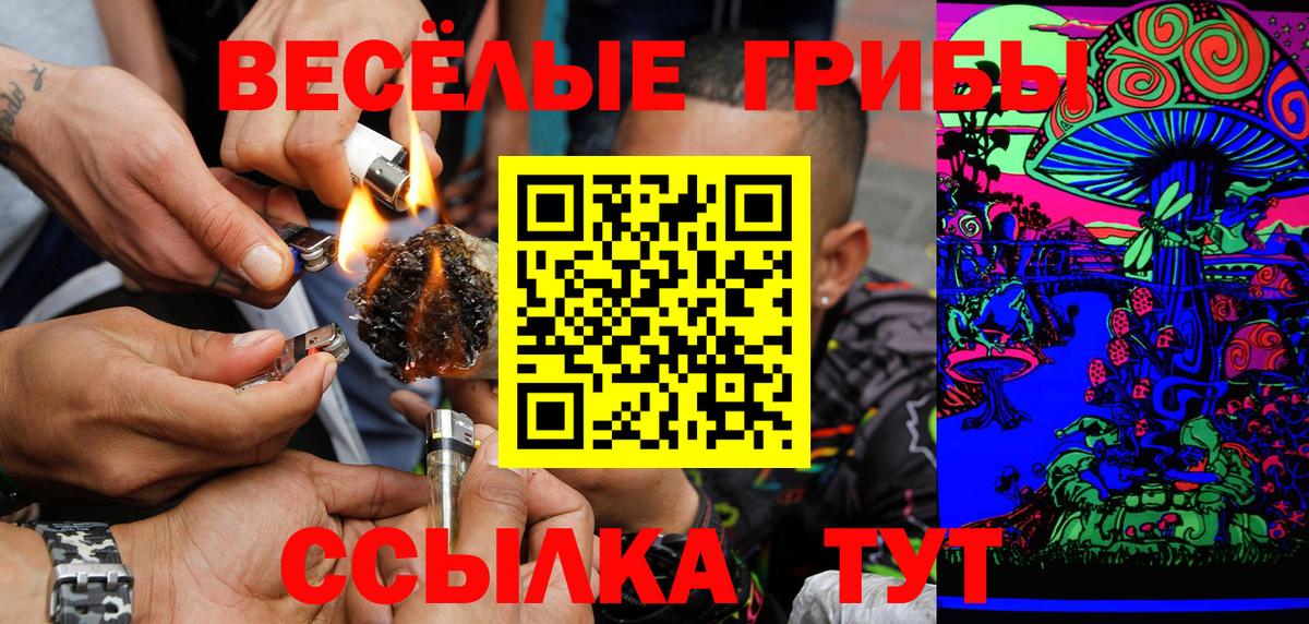 Чебаркуль  Псилоцибиновые грибы мицелий  Вход с VPN  Галлюциногенные грибы MAGIC MUSHROOMS 
